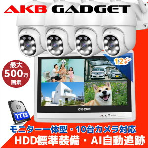 hƃJ O ƒp wifi p 500f LEDhƓt J[Be ԊOÎ[h 4Zbg PTZ@\ lbgsv zHsv HDD