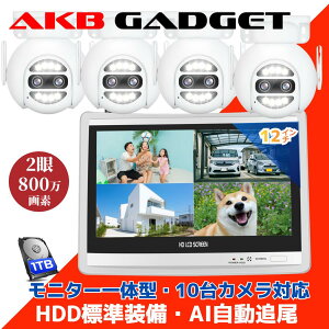 _|Cg10{EԌ^hƃJ Zbg ƒp O 4Zbg wifi hƃJO ƒpZbg 2400f PTZ ǔ LEDhƓt ԃJ[Be 12C`j^[t HDD 