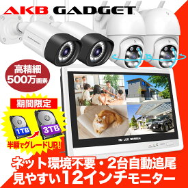 「大容量にお得に変更！1TB → 3TB が今なら半額！」防犯カメラ セット 店舗用 家庭用 ワイヤレス 屋外 wifi 監視カメラ 4台 PTZ防犯カメラ2台　パレット防犯カメラ2台　12インチ モニター付き 無線 赤外線 スマホ遠隔監視 500万画素 防水 H.265録画対応 アキバガジェット