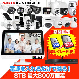 楽天1位 防犯カメラ モニター付き セット ワイヤレス 屋外 工事不要 1〜16台 家庭用 防犯カメラ セット録画機セット 監視カメラ wifi不要　屋外屋内 家庭用 24時間常時録画 防水防塵 アキバガジェット