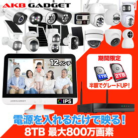 ＼期間限定・1TB→2TB半額で倍増／防犯カメラ ワイヤレス モニター付き セット 屋外 工事不要 1〜16台 家庭用 防犯カメラ セット録画機セット 監視カメラ wifi不要　屋外屋内 家庭用 24時間常時録画 防水防塵 アキバガジェット