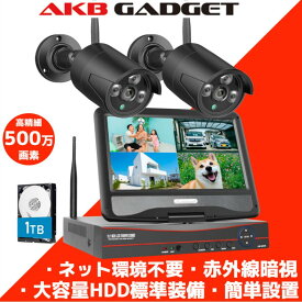防犯カメラ 屋外 セット wifi 家庭用 ワイヤレス カメラ2台 500万画素 10.1インチ モニター付き スマホ遠隔監視 赤外線 HDD付き ネット環境不要
