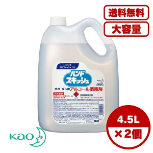 wō ԉƖp nhXLbV 4.5L AR[ō w򕔊Oi Higp G^m[65 xURjEz ێz x^Ȃ ^Cv ~[ X