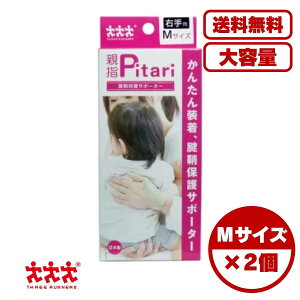 ewT|[^[ ews^ FیT|[^[ Ep MTCY F≊T|[g {[ ɔ݌v ʋCǍD p[lbgŒ dOK 玙Ή D݌v p\RƂɂ 