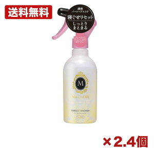 �y2�E4�Z�b�g�z�}�V�F�� �p�[�t�F�N�g�V�����[ (�����Ƃ�) EX f 250ml �Q�������� �E�H�[�^�[ ��C �c�� �܂Ƃ܂� �Z���p�[���n�j�[�W���� �Ód�C �h���C���[�M �����e�i���X ���i ���Օi 