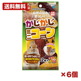 【6個セット】マルカン かじかじミニコーン 2本+おまけ1本 小動物用おやつ とうもろこし かじり木代わり 歯のケア ハムスター うさぎ モルモット 硬いおやつ 間食 まとめ買い 業務用 ペット日用品 消耗品 常備用 備品