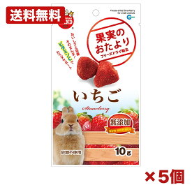 【5個セット】マルカン 果実のおたより いちご 10g 小動物用おやつ フリーズドライ ビタミンc 無添加 砂糖不使用 うさぎ ハムスター モルモット コミュニケーションおやつ まとめ買い 業務用 ペット日用品 消耗品 常備用 備品