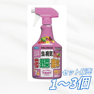 �y�������� 1�� 2�� 3�Z�b�g�z �t�}�L���[ �J�_���v���XDX 450mL 1���� ���|�p�i �E���� �E���E�h���O�b�Y ���p�i �q���p�i �����G�� �܂Ƃߔ���