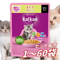 楽天市場】餌 子猫用の通販