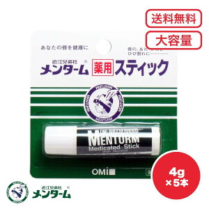 メンターム リップクリーム リップクリーム まとめ買い 薬用 リップ リップクリームメンターム保湿 乾燥対策 大容量 セット販売 送料無料 メンターム薬用スティック リップクリーム レギュ