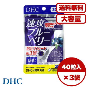 DHC Uu[x[ 20 40 Tvg rx[GLX AgVAj z^ 3{z NZ` eC ATC[z ڂ̔ NA΍ X}z p\R ^]