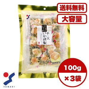 kCd `[Y 100g gp dグ `[Y ܂  ɍœK  s gѕ֗ ̍ ƈ yY aXibN ̂  ܂