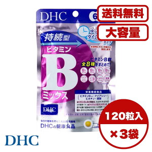 DHC ^r^~B~bNX 60 120 ^C[X^ r^~BQ8z B1 B2 B6 B12 t_ iCAV pge_ rI` Ԍ` T|[g 畆 S Nێ h{@\Hi 