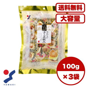 kCd 炩`[Y 100g kCYgp `[Yd \tgH ܂ ɍœK  s gѕ֗ ̍ ƈ  aXibN yYɂ  