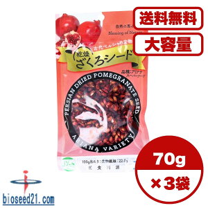 古代ペルシャの宝物 乾燥ざくろシード アリアナ種 70g スーパーフード 自然派おやつ ざくろの種丸ごと使用 タンニン アントシアニン エラグ酸配合 ポリフェノール豊富 健康 美容サポート カ