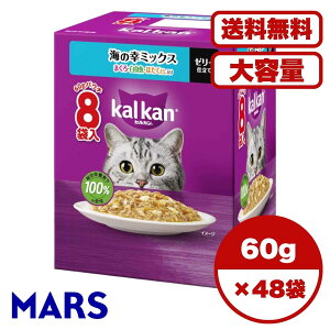 Lbgt[h EFbgy Zbg̔ Pi 1 2 6Zbg P[X z p Lbgt[h EFbgt[h pE` EFbg L̉a C̍K~bNX ܂EgEق