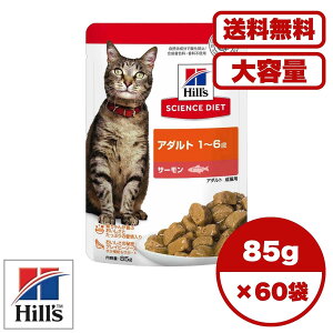 y Zbg̔ 1 12 60/1 zLbgt[h EFbg pE` L̉a h{H ⋋ m{qYnTCGXE_CGbg Lp A_g 1`6 T[ pE`