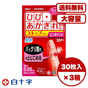 Jnp Jbgo t@~[PA Xgbvo CXgs|Cg 30 Ђ  PA nChRChf  h ^ ŋۍ {  ܂Ƃߔ Ɩpɂ