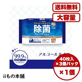 除菌シート 清潔習慣 アルコールタイプ ウェットティッシュ 40枚入×3個パック 厚手 銀イオン ヒアルロン酸配合 アルミ包装 衛生的 携帯便利 送料無料 まとめ買い 業務用にも