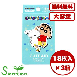 Jnp Jbgo N񂿂 V2 CUTE AID 18 LN^[ 킢 6Zbg ی qp {  ܂Ƃߔ Ɩpɂ