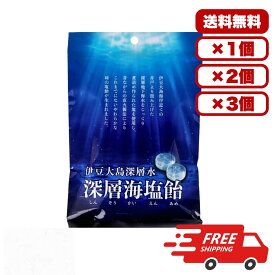 キャンディ 深層海塩飴 80g 伊豆大島深層水使用 直火製法 まろやかな塩味 深層海塩使用 塩キャンディ 塩飴 熱中症対策 ミネラル補給 塩分補給 体調管理 夏バテ予防 おやつ 携帯お菓子 送料無料 まとめ買い