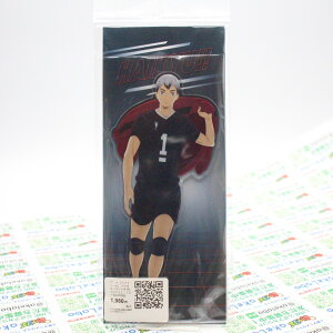 OPENLO_40%OFF^ AjwnCL[!!x ANX^h4 10.kM [GXJC][GOODS] RNV AjLN^[ G