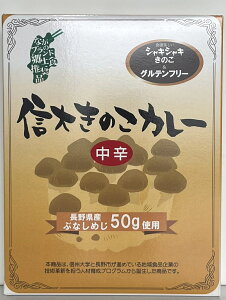 Oet[M傫̂J[1ylR|XΉz