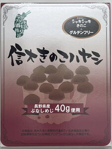 Oet[M傫̂nV1ylR|XΉz