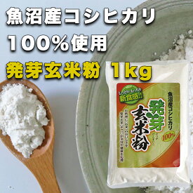 【魚沼産コシヒカリ 発芽玄米粉 1kg】グルテンフリー 国産 お菓子材料 ケーキ パン 材料 小麦不使用 健康食材 無添加 小麦アレルギー GABA