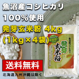 【魚沼産コシヒカリ 発芽玄米粉 1kgx4袋】グルテンフリー 国産 お菓子材料 ケーキ パン 材料 小麦不使用 健康食材 無添加 小麦アレルギー GABA　送料無料