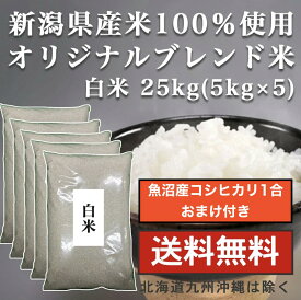 楽天市場 業務用米の通販