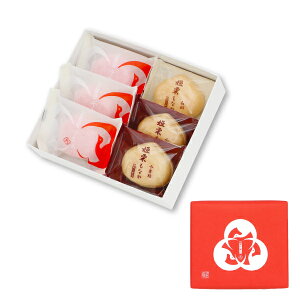 yNzNŒEPIȂl@6.ڂ N َq Ȃ  N  g  VN A yY 