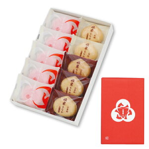 yNzNŒEPIȂl 10.ڂ N َq Ȃ  N  g  VN A yY