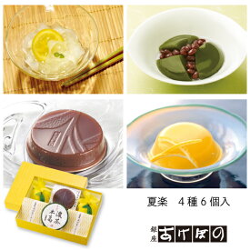 ●夏楽　4種6個入.＜銀座あけぼの お菓子 スイーツ くちとけ水羊羹 濃茶本葛 ゼリー 和 夏ゆず 日向夏くずきり 夏菓子 お中元 贈り物 お土産 お中元＞
