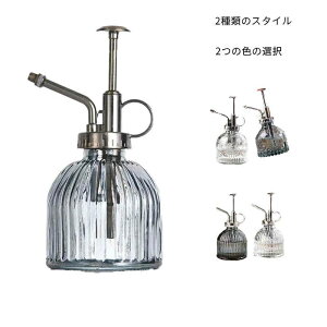 傤 g₷ CeA A  O  A    |  | K[fjO ϗtA yzX