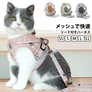猫 ハーネス 大型猫用ハーネス リードセット 大型猫 猫ハーネス かわいい おしゃれ 簡単装着 抜けない 軽い 猫用 キャットハーネス リード リード付き 犬 小型犬 超小型犬 胴輪 首輪 ダブル