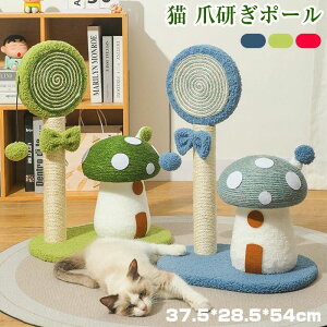  Lbg^[ ^ ~j L^[  u L ܂Ƃ |[  LVїp VRR gȒP ]|h~ ȃXy[X I[V[Y t ybgpi XgX