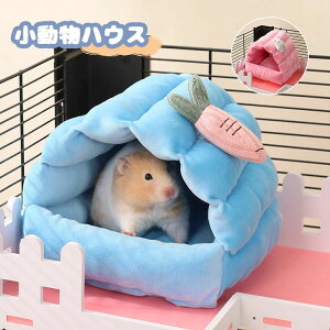 nX^[ nEX  Q nbN ~ ۉh X   g xbh ӂӂ  nlY~ bg IE nEX LbgnEX ybgxbh gxe P[