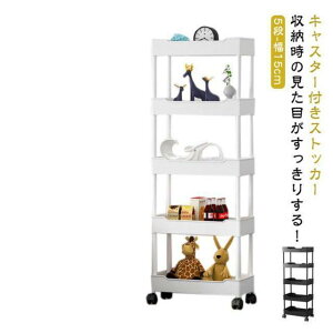 Xg[[ 5i  15cm X Ԏ[ LX^[t Lb`  [  ԃbN [S Ԏ[S Lb`