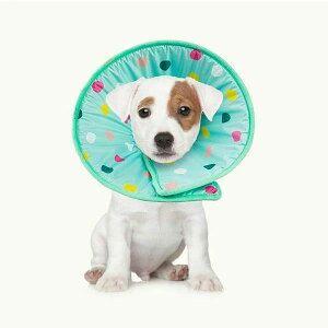 GUxXJ[ ʕ  L \gȑf Ȏ }WbNe[v \ ȃfUC y 畆a p ی rߖh~ ~h~  wXPA pEFA e 