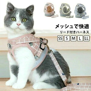 猫 ハーネス 大型猫用ハーネス リードセット 大型猫 猫ハーネス かわいい おしゃれ 簡単装着 抜けない 軽い 猫用 キャットハーネス リード リード付き 犬 小型犬 超小型犬 胴輪 首輪 ダブル