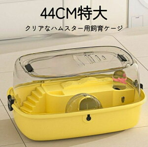 nX^[pP[X nX^[P[W  nEX 傫  Wt WKA Jt P[W ^P[W 킢  gݗĎ P[W