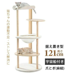 Lbg^[ L^[  ܂Ƃ FDt u 芴Q |ȒP  121CM ^L L qL  킢