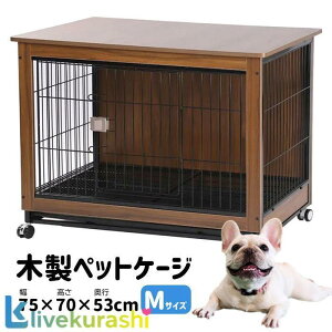 ybg P[W T[N MTCY EbfBT[N LX^[t ؐ g[t ybgP[W ybgT[N p   #