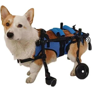 犬用車椅子 ペット/猫/犬カート 車椅子 サイズ調整可能 ペット用 4輪歩行器 歩行補助 カート リハビリ 介護 老犬 猫犬兼用 猫 犬用 車い