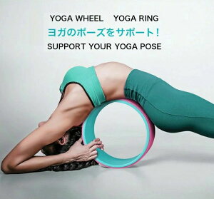 yz㎿ KO@KzC[ 2g[ OF TPEfށ@ABSfށ@g[jO@_CGbg T|[gw _ obNXgb`[@}bT[W@ҒőseBX