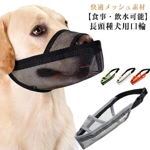 hbO}Y p Ή p ݂h~ EHh~ ʖih~ ʋC bV 􂦂 rߖh~    }Y ybgpi ^ ^ ^ 