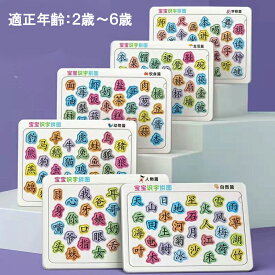 「1530」　中国語　漢字はめパズル　漢字練習パズル　簡体字　6種類セット　中国語勉強　知育玩具　学習玩具