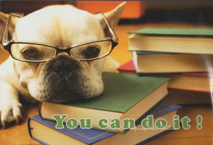 楽天市場 ワンちゃんグッズ ポストカード You Can Do It Pn 451 フレンチブルドッグのポストカード写真はがき葉書カードフォト カード応援メッセージに ブルちゃんわんちゃん犬柄dogいぬ 3cmメール便ok Aplenty Kind Galleria