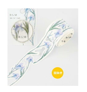 y BGM}Xez ^/ [bp̒@25mm JLco^@BM-DYO001@BGM}XLOe[v r[W[G 25mm L }Xe [Xe[v ^ʂ }XLOe[v V[ e[v _CJbg